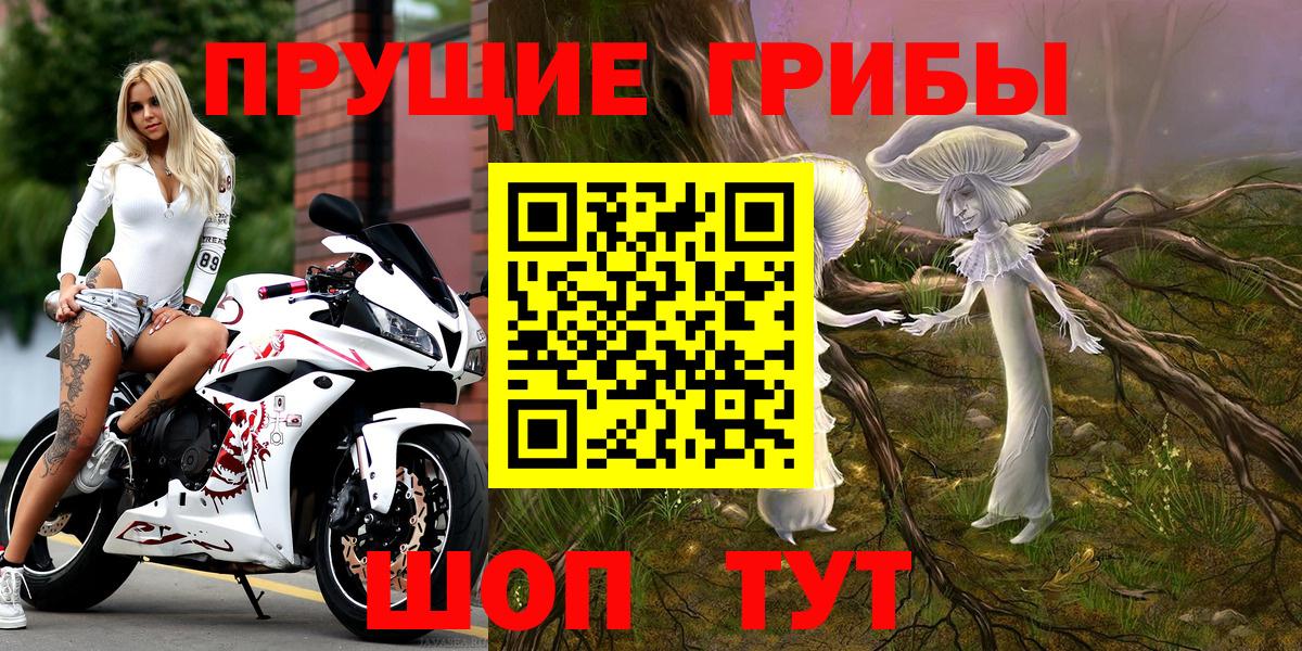 Псилоцибиновые грибы MAGIC MUSHROOMS  Вход с VPN  Алексеевка 